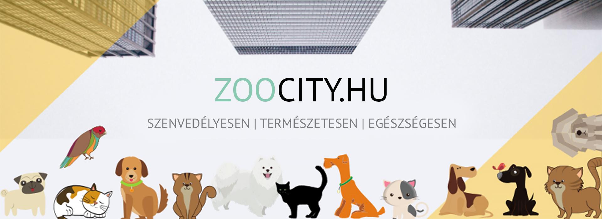 zoocity
