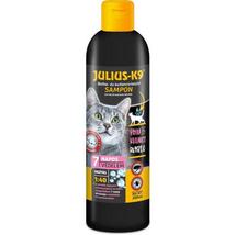Julius K-9 Bolha- és kullancs riasztó sampon macskák részére