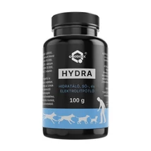 HYDRA - hidratáló-, sópótló-, elektrolitpótló 100g