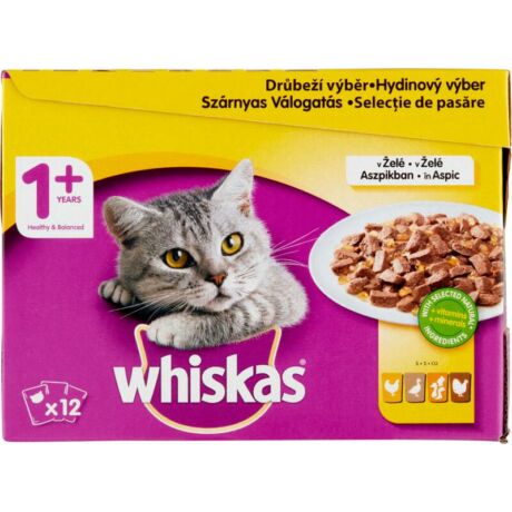Whiskas  nedves eledel cicáknak, szárnyas válogatás zselében 12 x 85 g