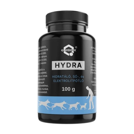 HYDRA - hidratáló-, sópótló-, elektrolitpótló 100g
