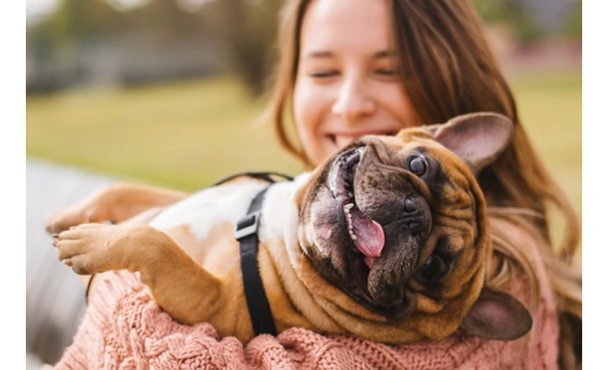 Immunerősítő kutyáknak: gondolj a kedvencedre is! 